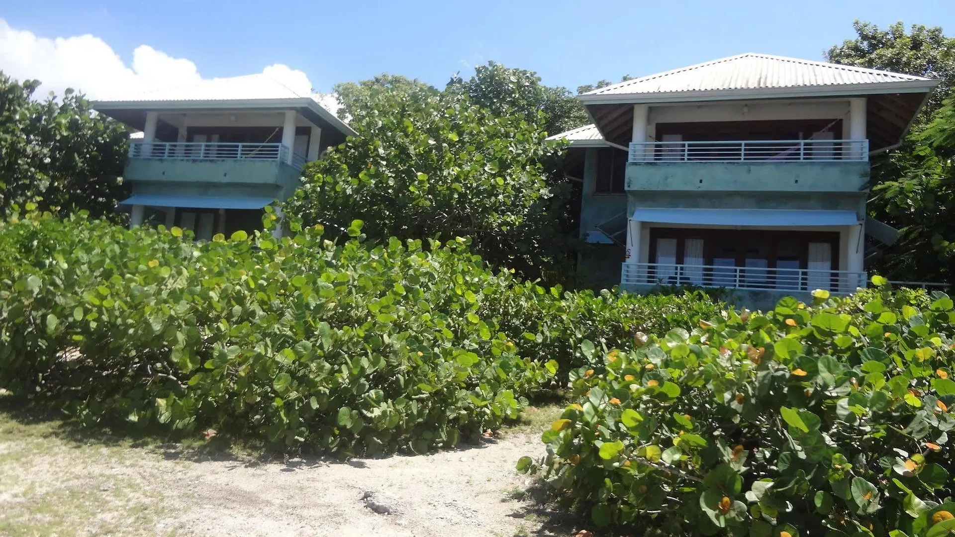 Idle Awhile Cliffs Hotel Negril