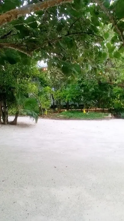 Idle Awhile Cliffs Otel Negril Jamaika