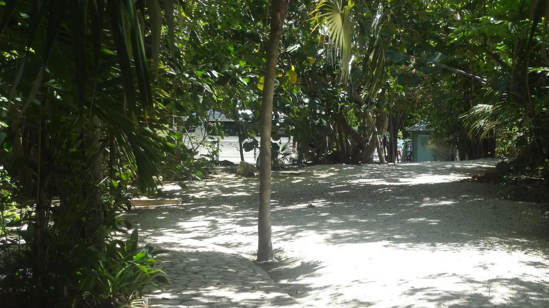Idle Awhile Cliffs Otel Negril